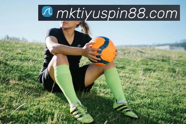 App Interface Preview