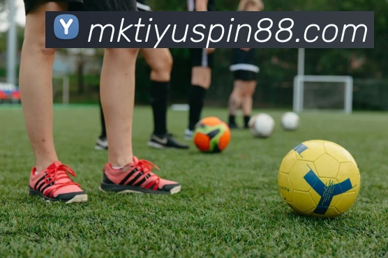 MK体育APP 封面图