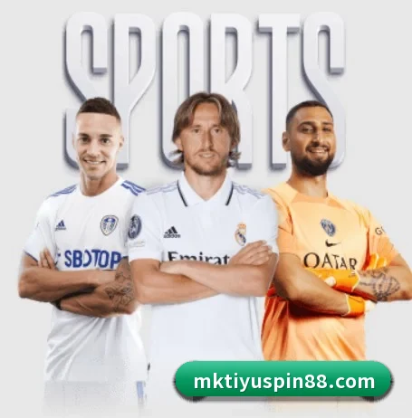 用内容积累长期价值 - 长期内容价值积累 - MKSPORTS